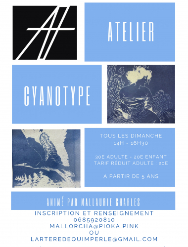 Atelier artistique - Cyanotype - Quimperlé Le 5 mai 2024